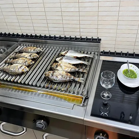 Luxury Seaside With A Classic Mediterranean Olive Garden, A Fully Equipped Professional Kitchen, Pool, Sauna, Padle Boards And Canoe - Miolin House Τρογκίρ