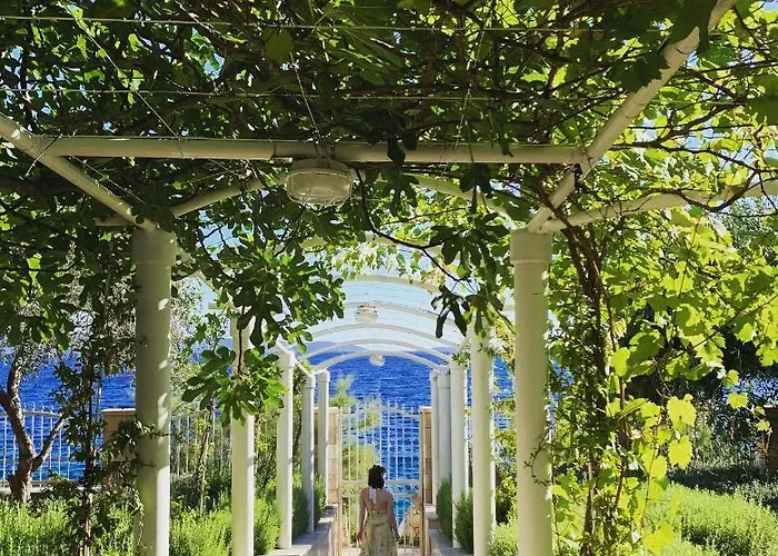 Luxury Seaside With A Classic Mediterranean Olive Garden, A Fully Equipped Professional Kitchen, Pool, Sauna, Padle Boards And Canoe - Miolin House *