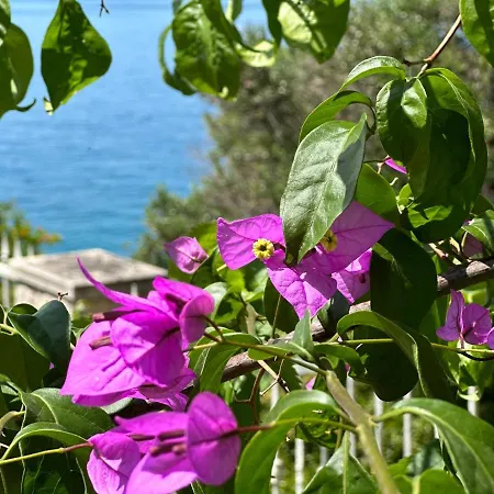 Villa Luxury Seaside With A Classic Mediterranean Olive Garden, A Fully Equipped Professional Kitchen, Pool, Sauna, Padle Boards And Canoe - Miolin House