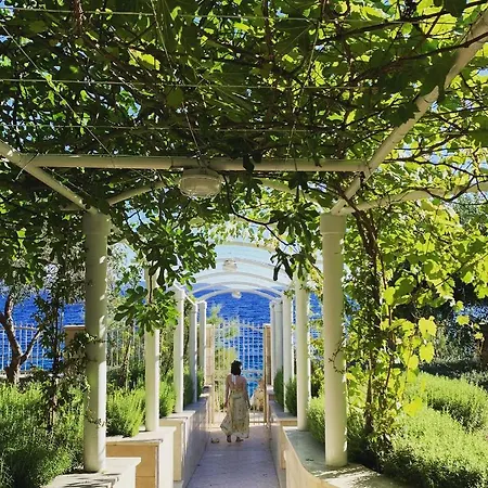 Luxury Seaside With A Classic Mediterranean Olive Garden, A Fully Equipped Professional Kitchen, Pool, Sauna, Padle Boards And Canoe - Miolin House *