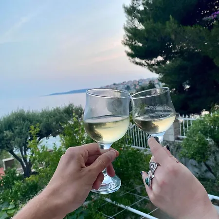 Luxury Seaside With A Classic Mediterranean Olive Garden, A Fully Equipped Professional Kitchen, Pool, Sauna, Padle Boards And Canoe - Miolin House