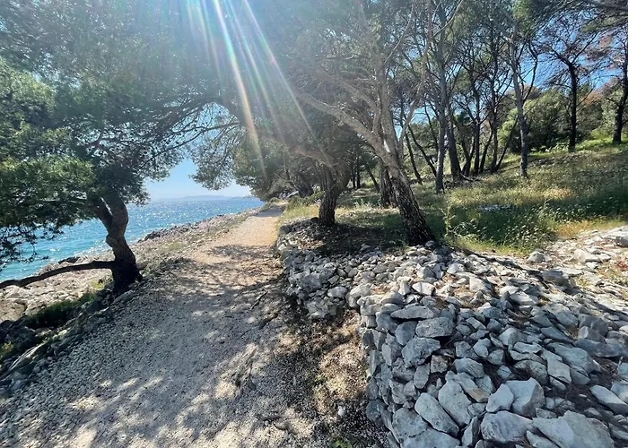 Vila Luxury Seaside With A Classic Mediterranean Olive Garden, A Fully Equipped Professional Kitchen, Pool, Sauna, Padle Boards And Canoe - Miolin House