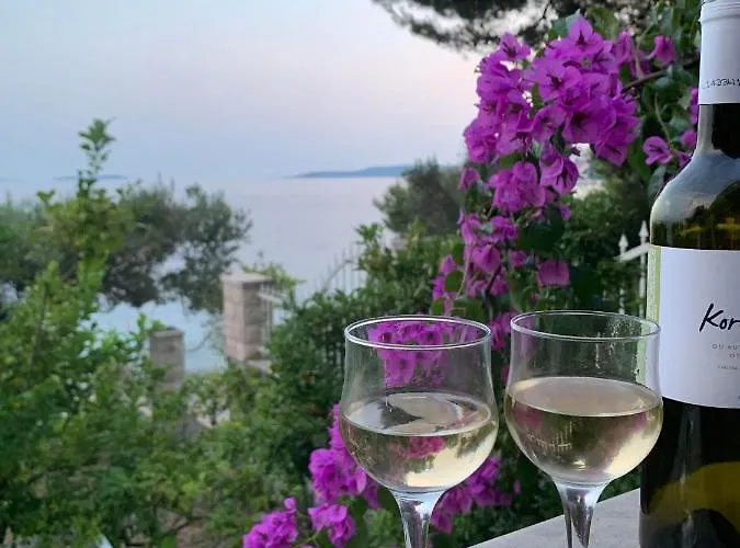 Luxury Seaside With A Classic Mediterranean Olive Garden, A Fully Equipped Professional Kitchen, Pool, Sauna, Padle Boards And Canoe - Miolin House * Trogir