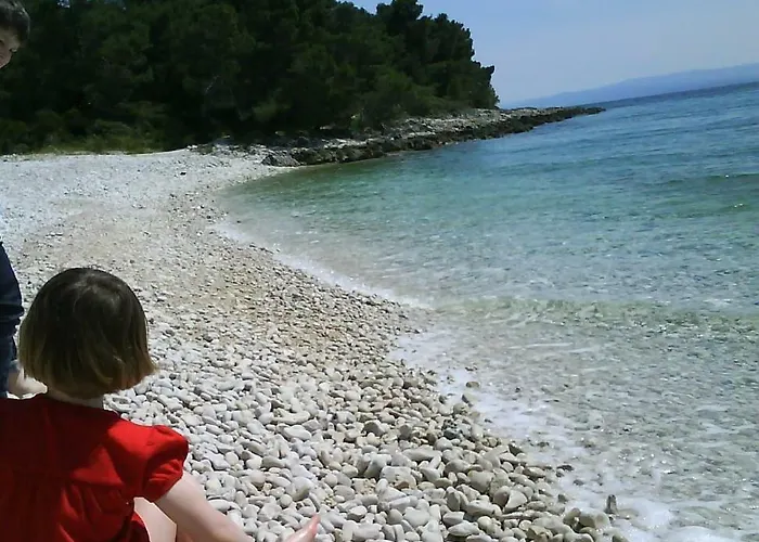 Villa Luxury Seaside With A Classic Mediterranean Olive Garden, A Fully Equipped Professional Kitchen, Pool, Sauna, Padle Boards And Canoe - Miolin House