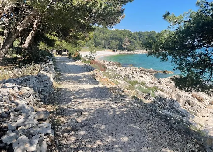 Willa Luxury Seaside With A Classic Mediterranean Olive Garden, A Fully Equipped Professional Kitchen, Pool, Sauna, Padle Boards And Canoe - Miolin House Trogir